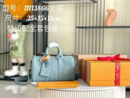 Picture of Louis Vuitton Handbags _SKUfw201145148fw